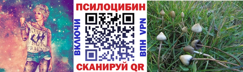 Галлюциногенные грибы мицелий  магазин    Калач 